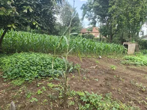 Prime Quarter Acre Corner Plot for Sale in Kerarapon Drive. Red Soil