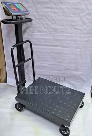 Heavy Duty 600kg Platform Weighing Scale Machine/600kg