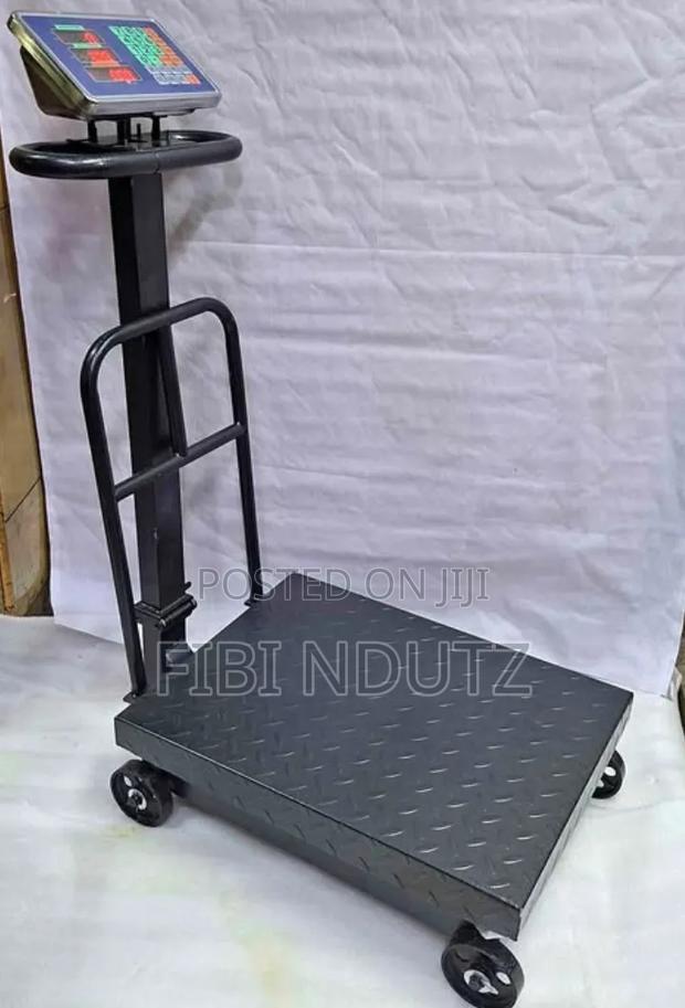Heavy Duty 600kg Platform Weighing Scale Machine/600kg