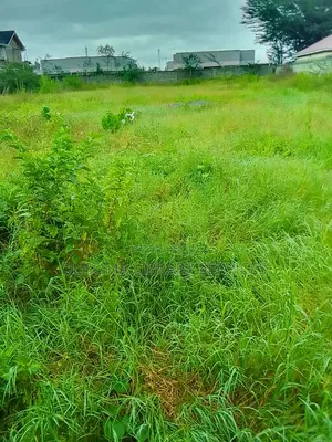 Kitengela’S Last Half Acre Under 10m Acacia | Just Before Olerai Hotel