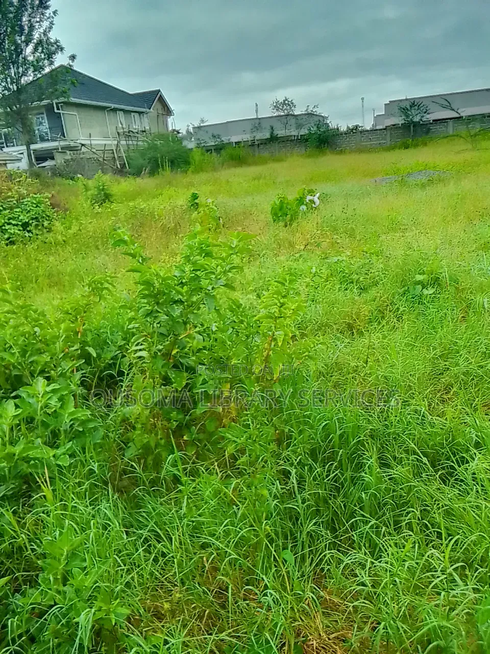 Kitengela’S Last Half Acre Under 10m Acacia | Just Before Olerai Hotel
