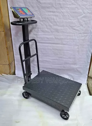 Commercial Digital Scale/600kgs Digital Platform Weighing Scale