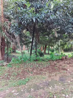 0.5 Acre for Land in Riverside