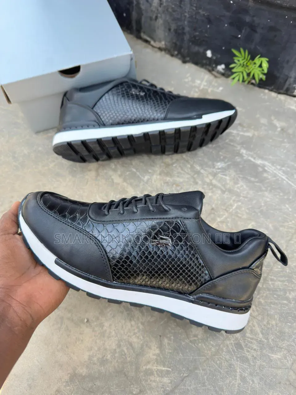 Offer Offer Lacoste Casual Shoes