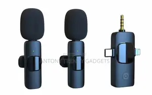  Dual Wireless Microphone Noise Reduction Interview