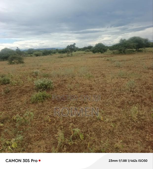Land Available for Sale, 42 Acres - main view