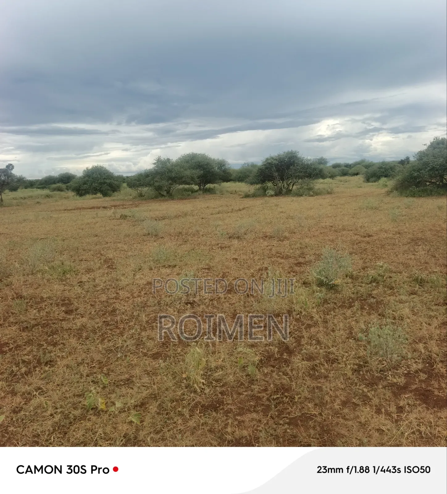 Land Available for Sale, 42 Acres