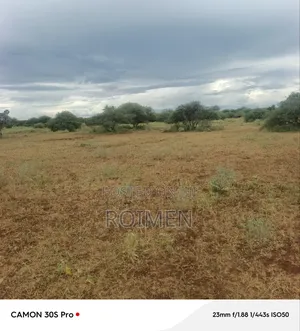 Land Available for Sale, 42 Acres