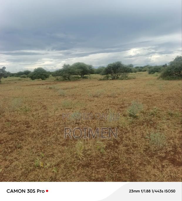 Land Available for Sale, 42 Acres - thumbnail 2
