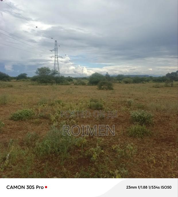 Land Available for Sale, 42 Acres - thumbnail 7