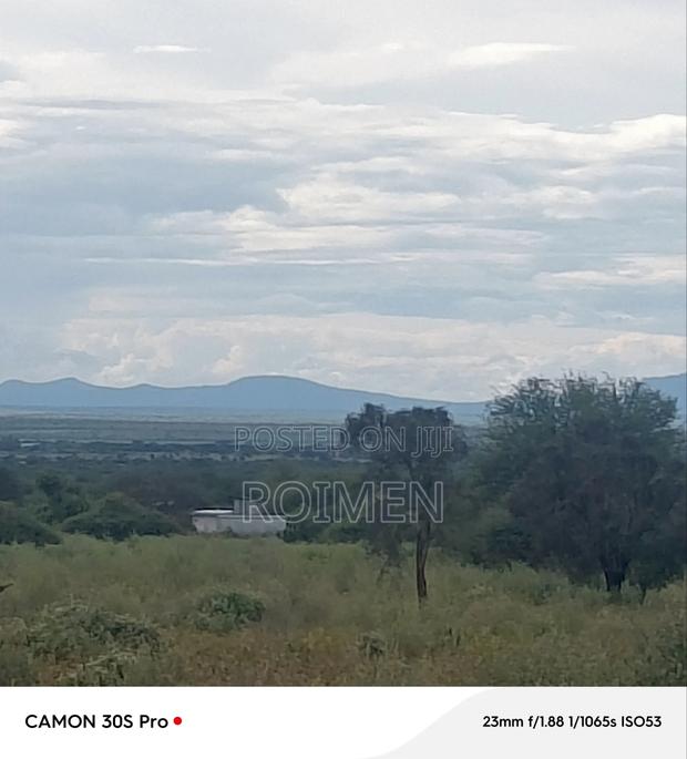 Land Available for Sale, 42 Acres - thumbnail 8