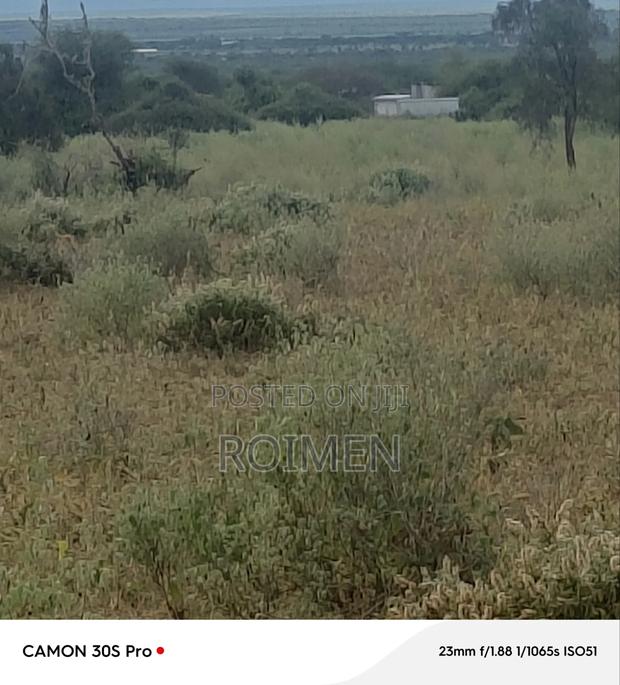 Land Available for Sale, 42 Acres - thumbnail 9