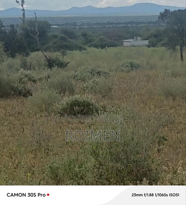 Land Available for Sale, 42 Acres - thumbnail 10