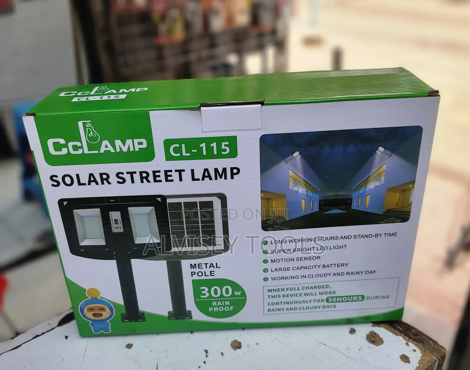 300w Street Light