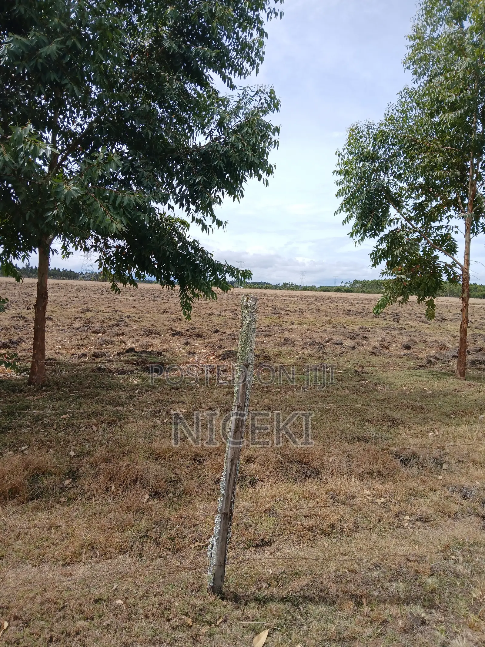 Agricaltural Land