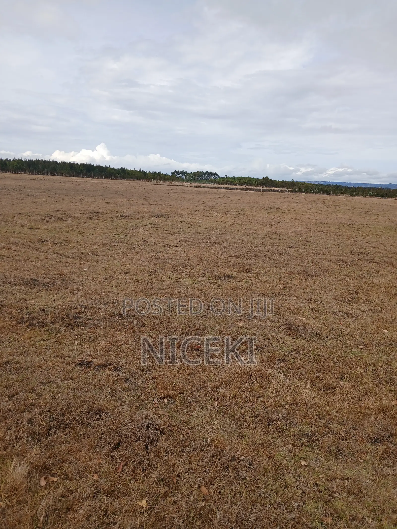 Agricaltural Land