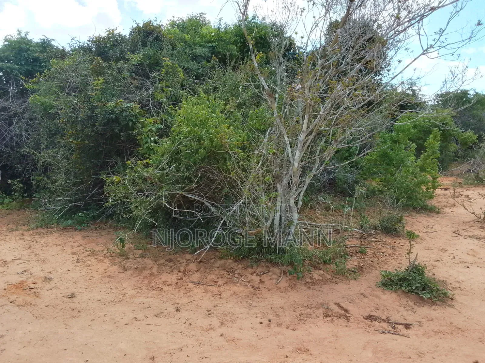 Agricultural Land