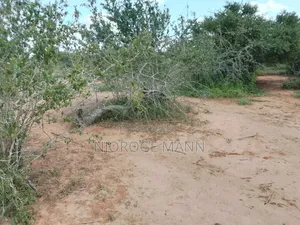 Agricultural Land