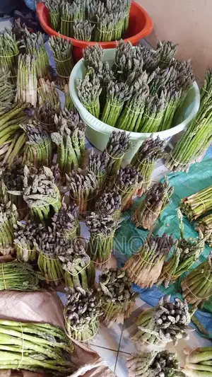 Fresh Premium Asparagus 