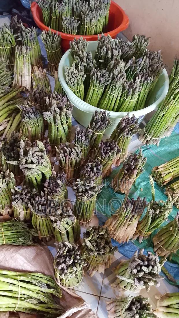 Fresh Premium Asparagus  - main view