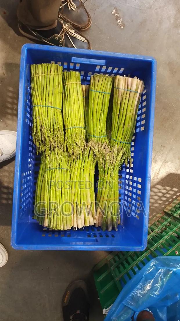 Fresh Premium Asparagus  - thumbnail 3