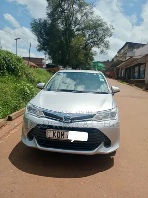 Toyota Corolla Fielder 2016 Silver