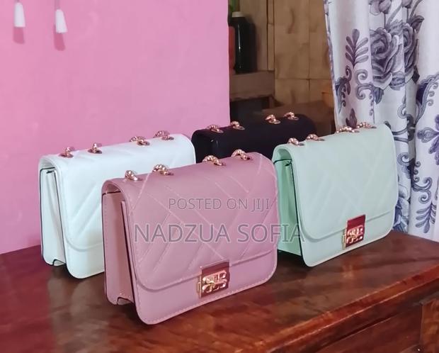 Flexible and Best Quality Chain Bags for Classy Ladies
