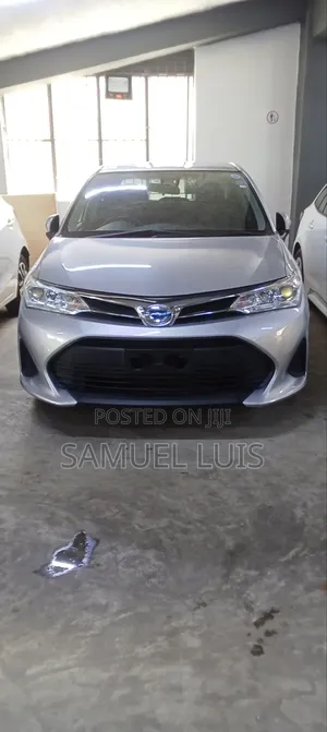 Toyota Axio 2019 Gray
