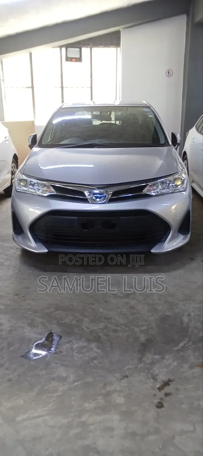 Toyota Axio 2019 Gray