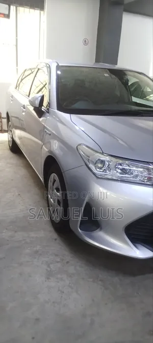 Toyota Axio 2019 Gray