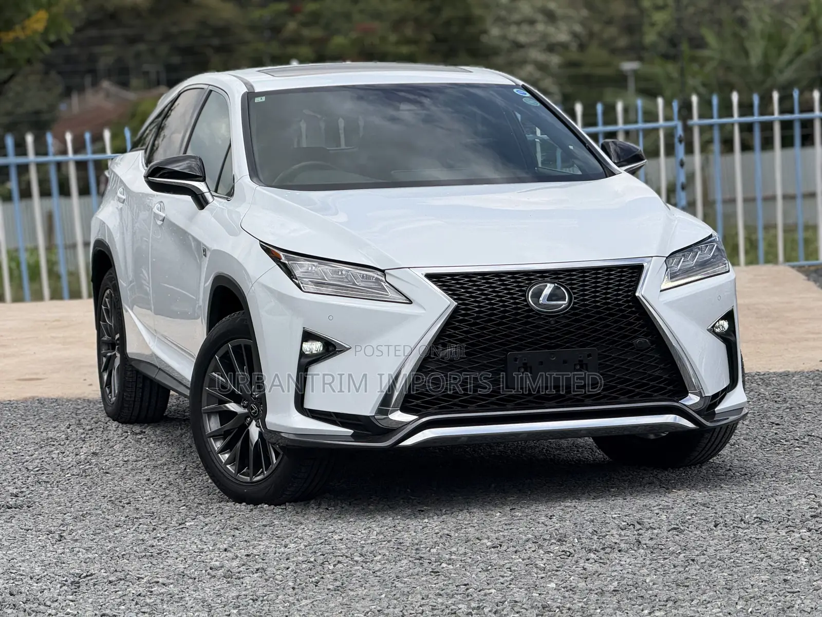 Lexus RX 300 4WD 2019 White