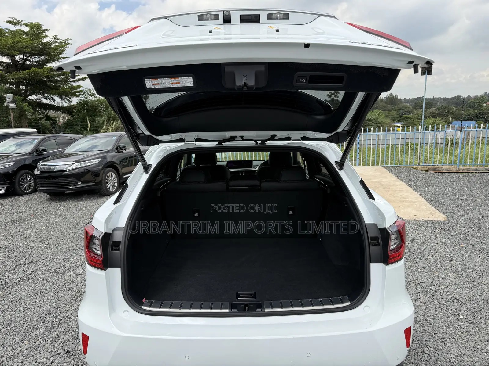 Lexus RX 300 4WD 2019 White