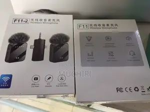 F11-2 2in1 Phone Wireless Microphone