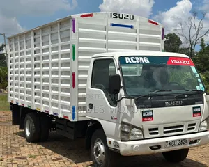 Isuzu NPR Local 2019