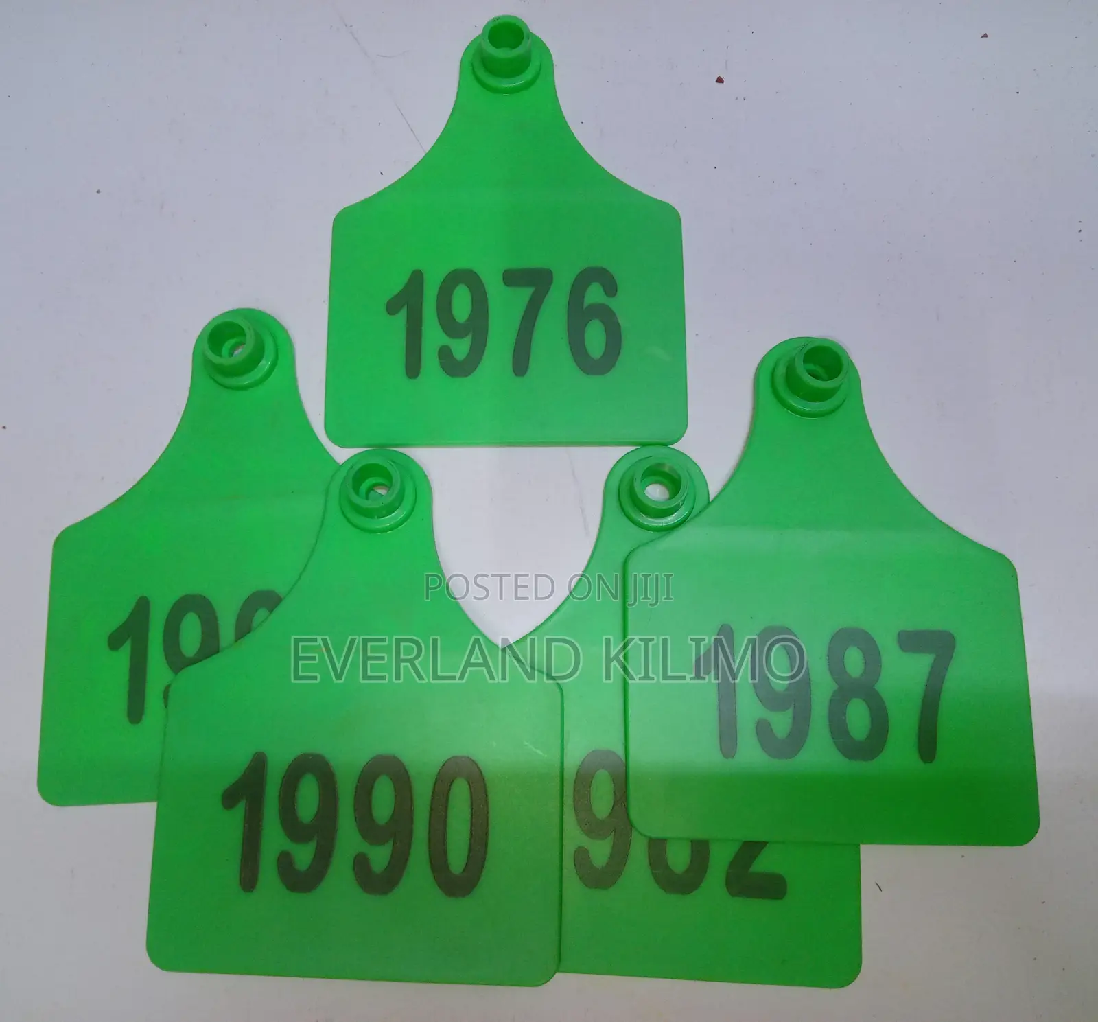 Cow Identifcation Tags - Numbered