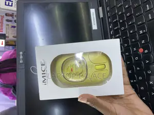 Mouse and Computers