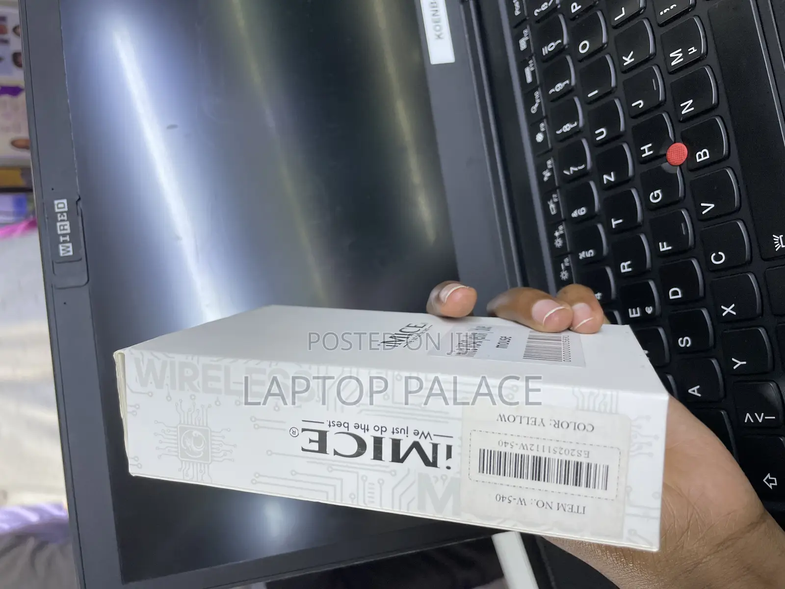 Mouse and Computers