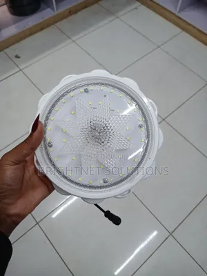 Solar Ceiling Light