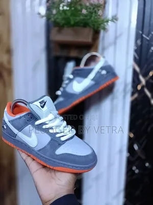 Nike Dunks 'Pigeon Colourway' Sneakers