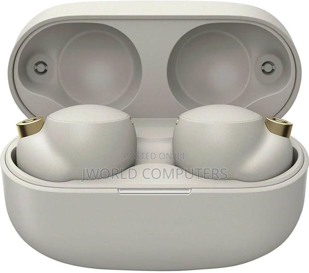 Sony Wf-1000xm4 Earbuds - thumbnail 3