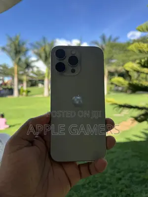 Apple iPhone 16 Pro Max 256 GB Silver