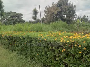 1/8 for Sale at Gacuthi, Muguga