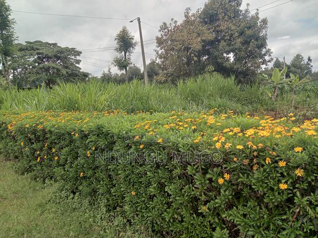 1/8 for Sale at Gacuthi, Muguga - main view