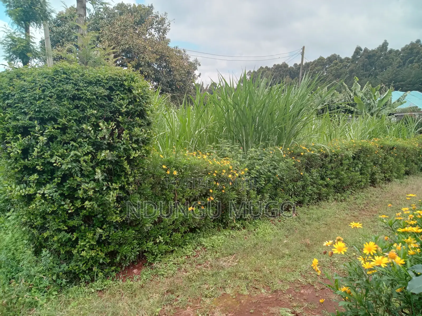 1/8 for Sale at Gacuthi, Muguga