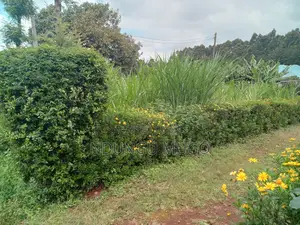 1/8 for Sale at Gacuthi, Muguga