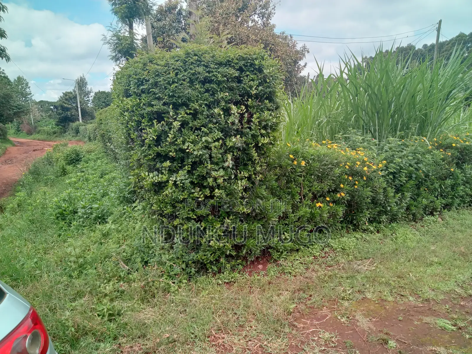 1/8 for Sale at Gacuthi, Muguga