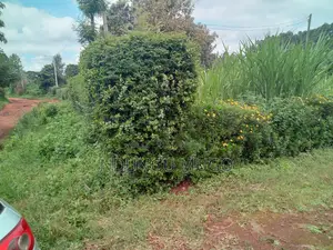 1/8 for Sale at Gacuthi, Muguga