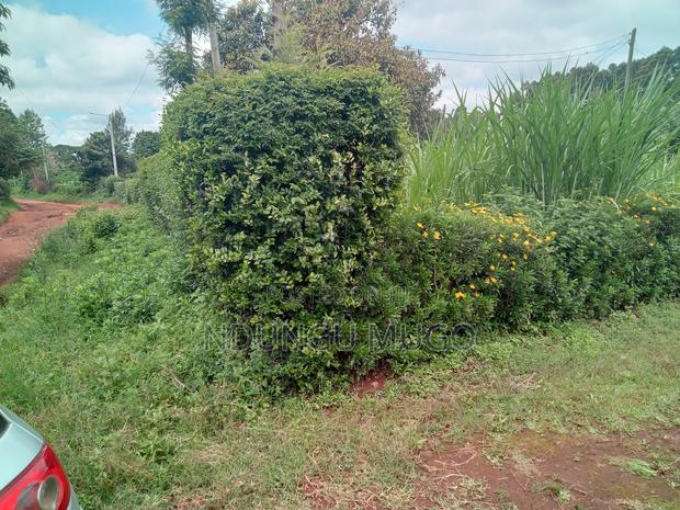 1/8 for Sale at Gacuthi, Muguga - thumbnail 3