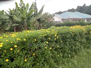 1/8 for Sale at Gacuthi, Muguga