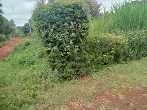 1/8 for Sale at Gacuthi, Muguga